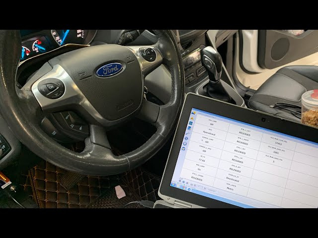 Does FORScan Require the Internet?