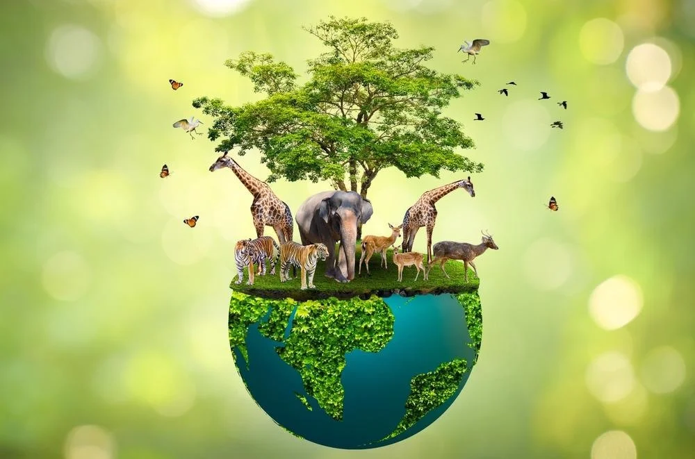 Future of Wildlife Management in Norway