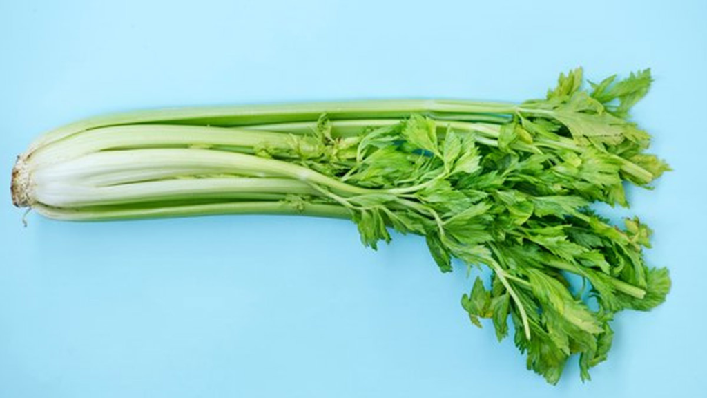 Pravi Celer Nutritional Benefits and Health Benefits