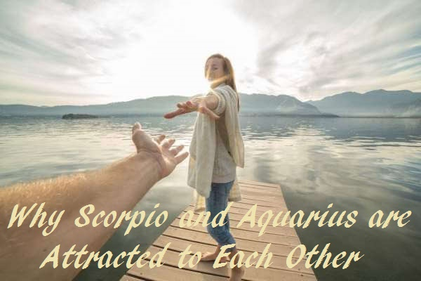 Why Are Scorpio and Aquarius Attracted to Each Other?
